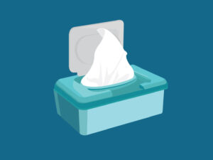 Sneaker Wipes